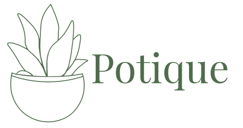 Potique